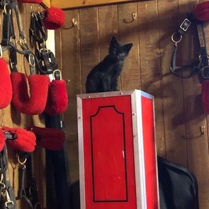 Meet your Posher, Cacaitlin